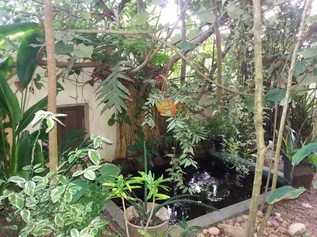 Hotel Peacock Wings Guest Mirissa Exterior foto