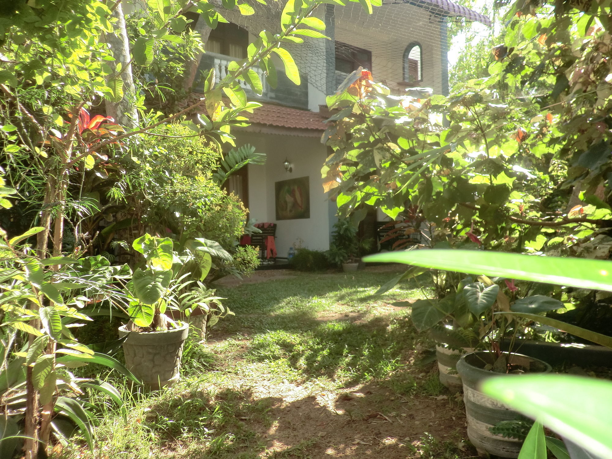 Hotel Peacock Wings Guest Mirissa Exterior foto